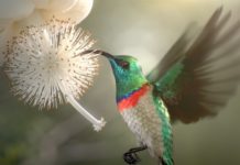 Luma Animation and Brand et al produce visual narrative for AVBOB centenary TVC